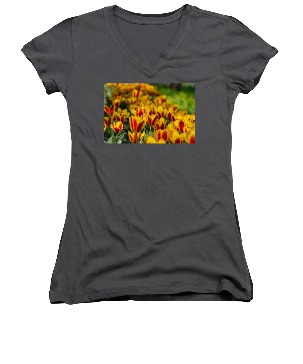 Spring Women's V-Neck featuring the photograph Spring mood by Michael Goyberg