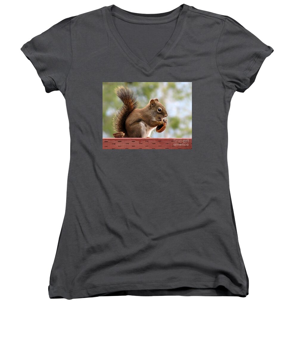 Squirrel Women's V-Neck featuring the photograph Squirrel and His Walnut by Leone Lund