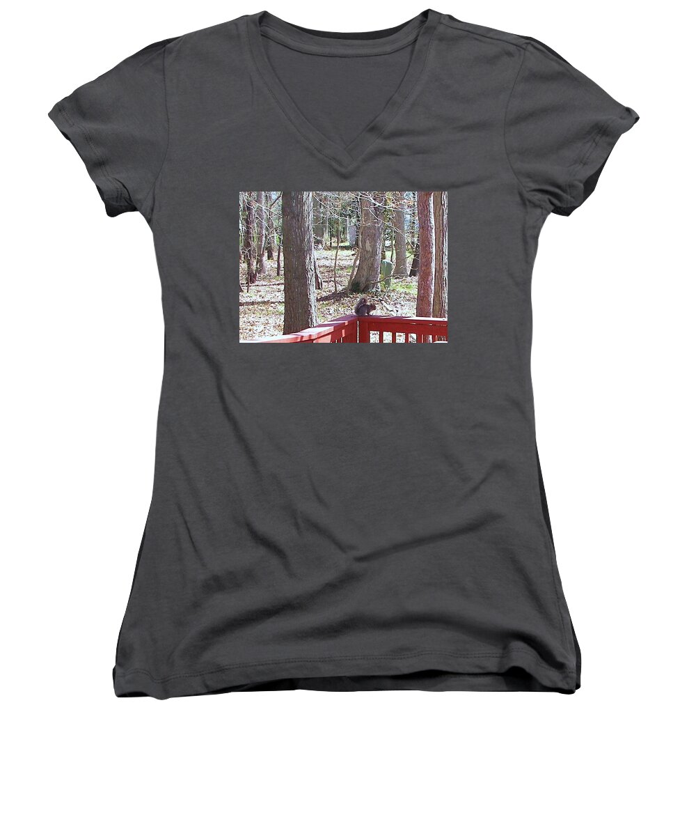 Squirrel Women's V-Neck featuring the photograph Squirrel Waiting by Pamela Hyde Wilson