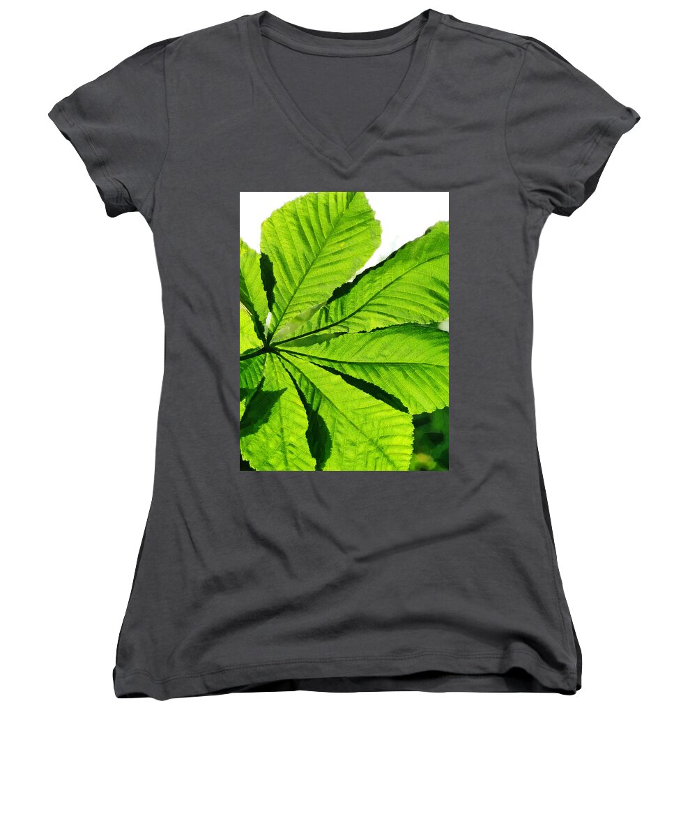 Leaf Women's V-Neck featuring the photograph Sun on a Horse Chestnut Leaf by Steve Taylor