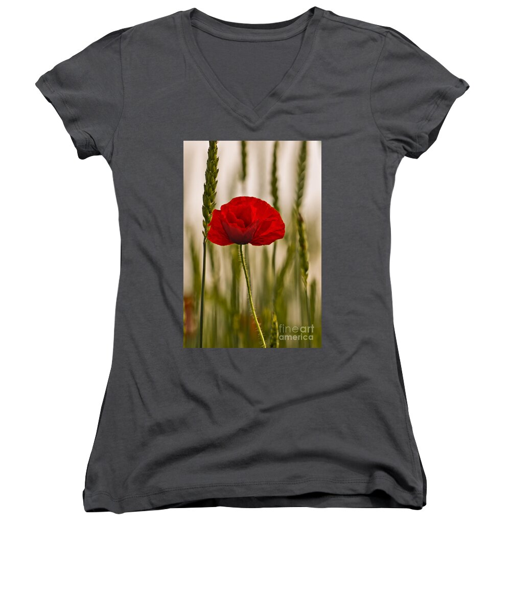 Poppy Women's V-Neck featuring the photograph Sunset glow. by Clare Bambers