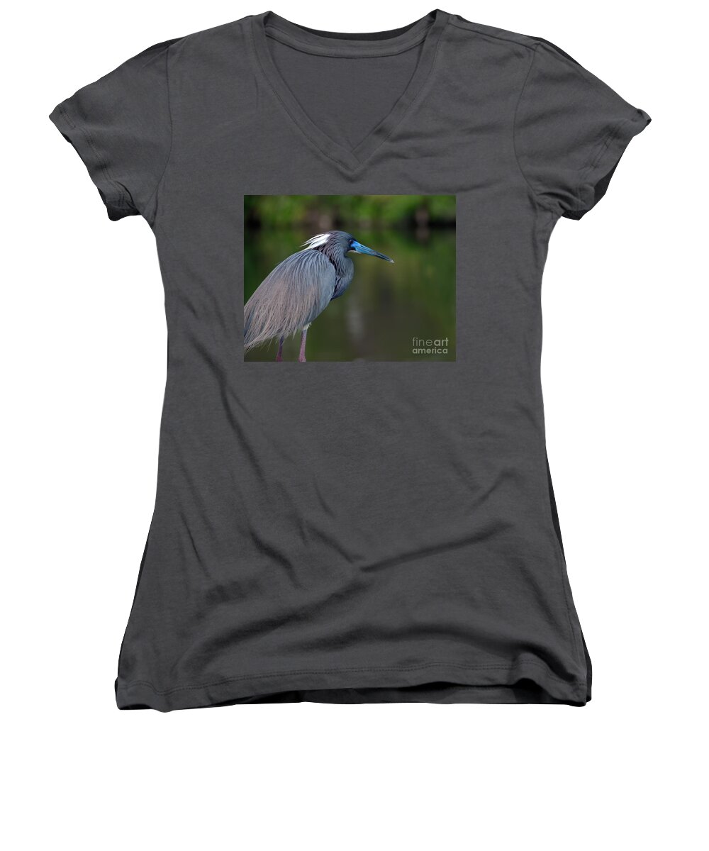 Tri Colored Heron Women's V-Neck featuring the photograph Tricolored Heron by Art Whitton