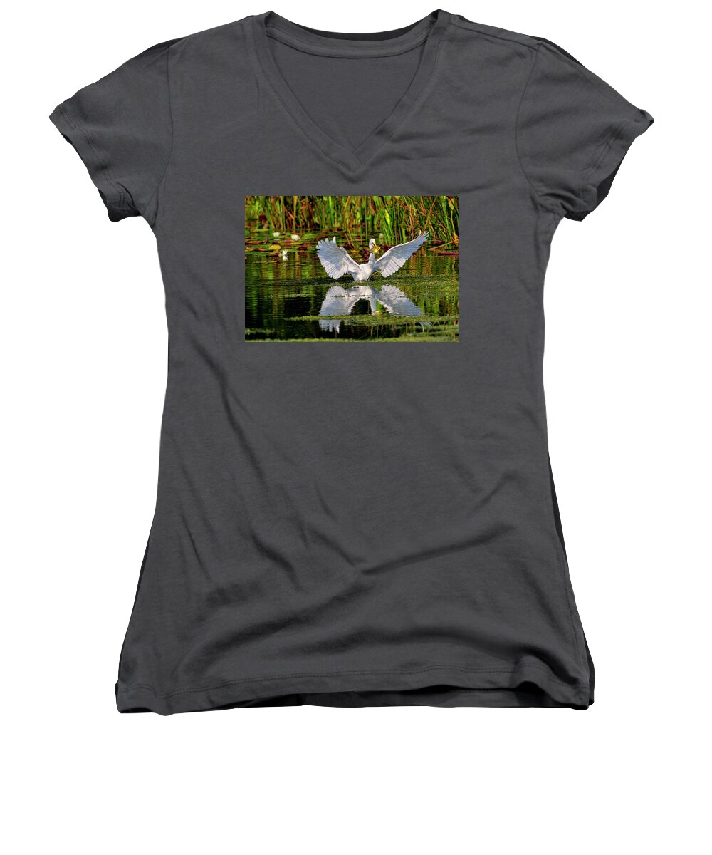 Great White Egret Women's V-Neck featuring the photograph Wetlands by Bill Dodsworth