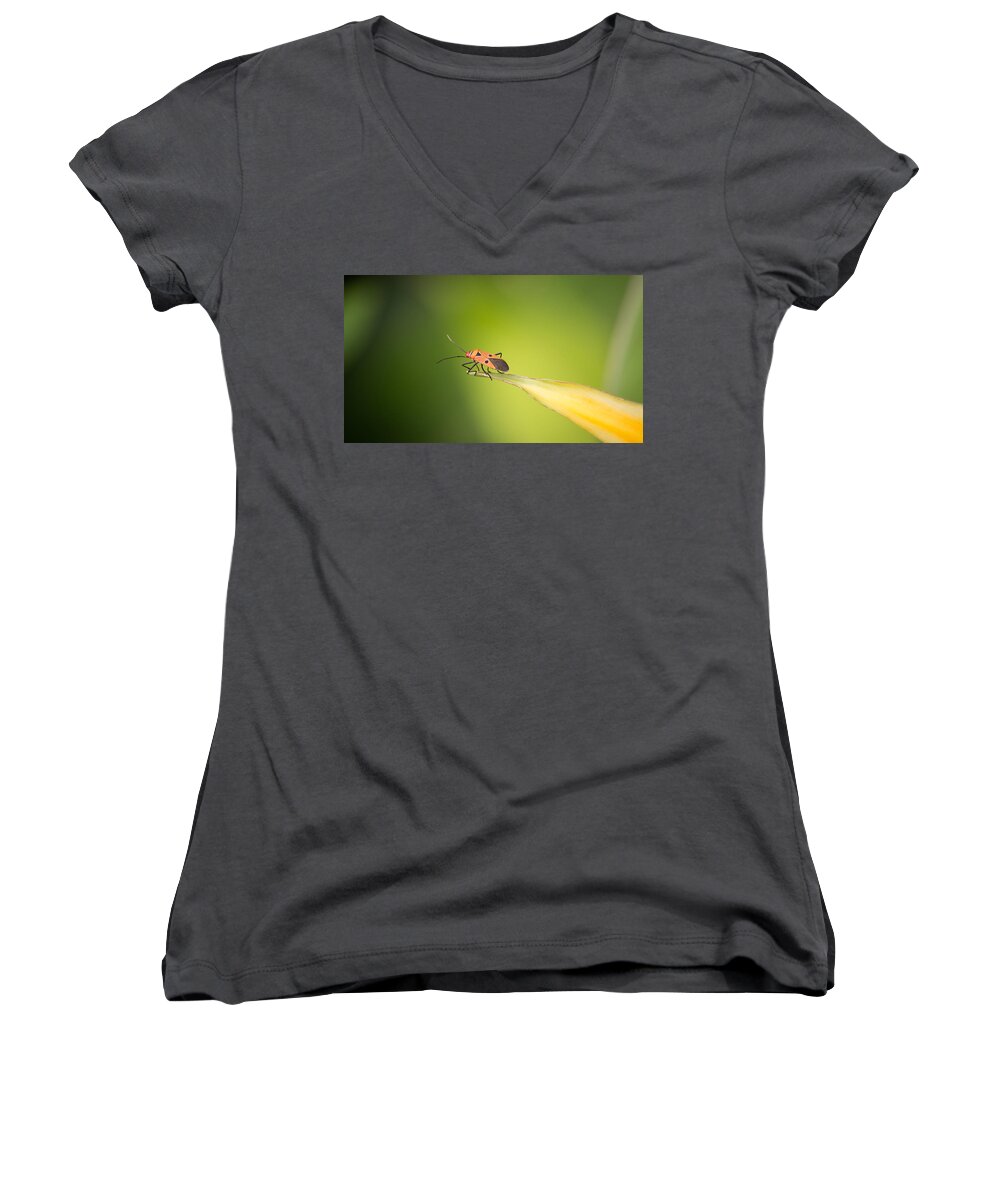 Beyond Women's V-Neck featuring the photograph What lies beyond by SAURAVphoto Online Store