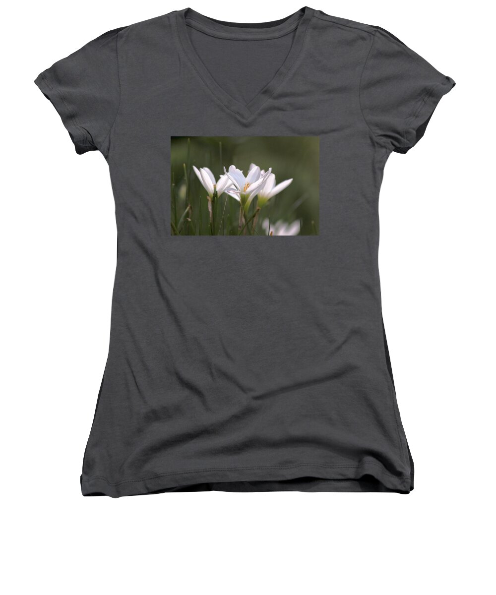 White Lily Women's V-Neck featuring the photograph White Lily - Symbol of Purity by Ramabhadran Thirupattur