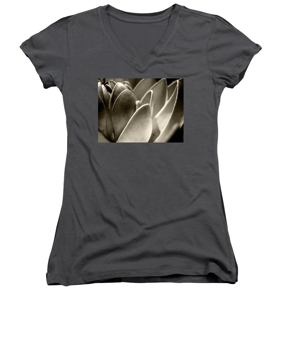 White Lotus Women's V-Neck featuring the photograph White Lotus In Dusk by Sumit Mehndiratta