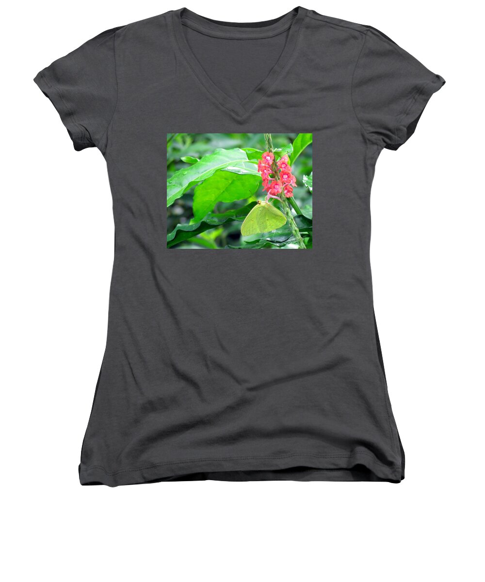 Nature Women's V-Neck featuring the photograph Yellow Sulphur on Porterweed by Judy Wanamaker