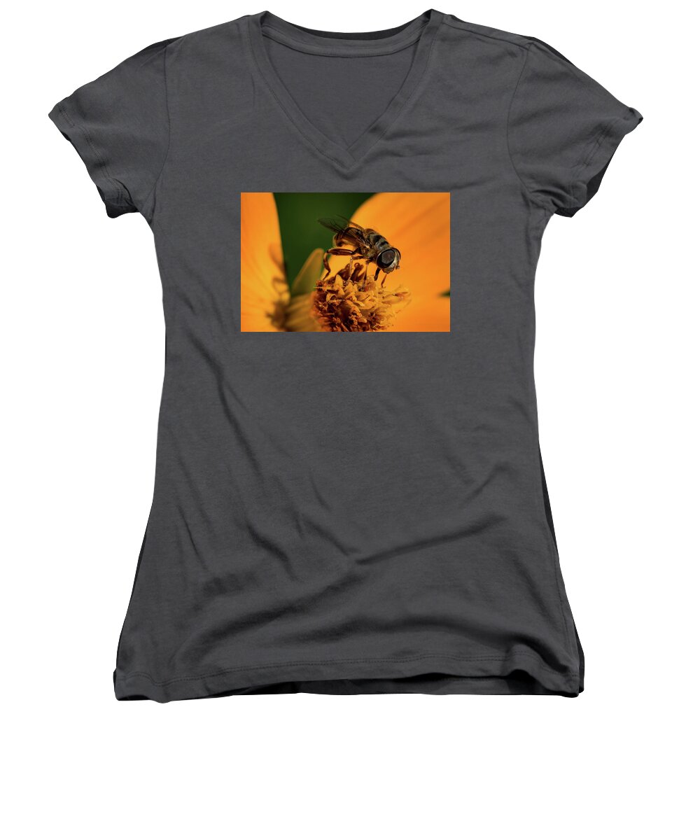 Jay Stockhaus Women's V-Neck featuring the photograph Bee on Flower #1 by Jay Stockhaus