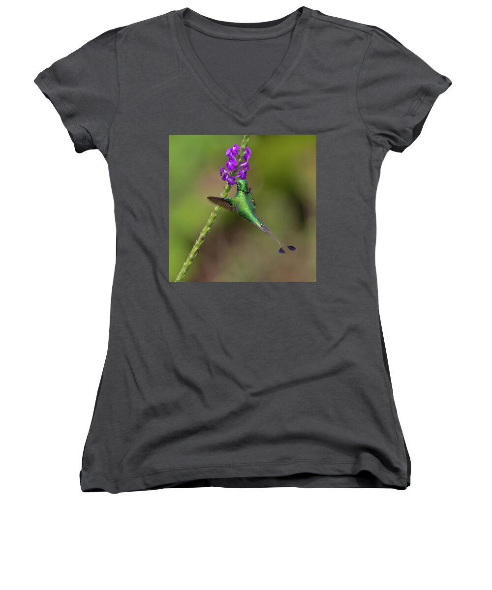 2015 Women's V-Neck featuring the photograph Booted Racket-tail #2 by Jean-Luc Baron