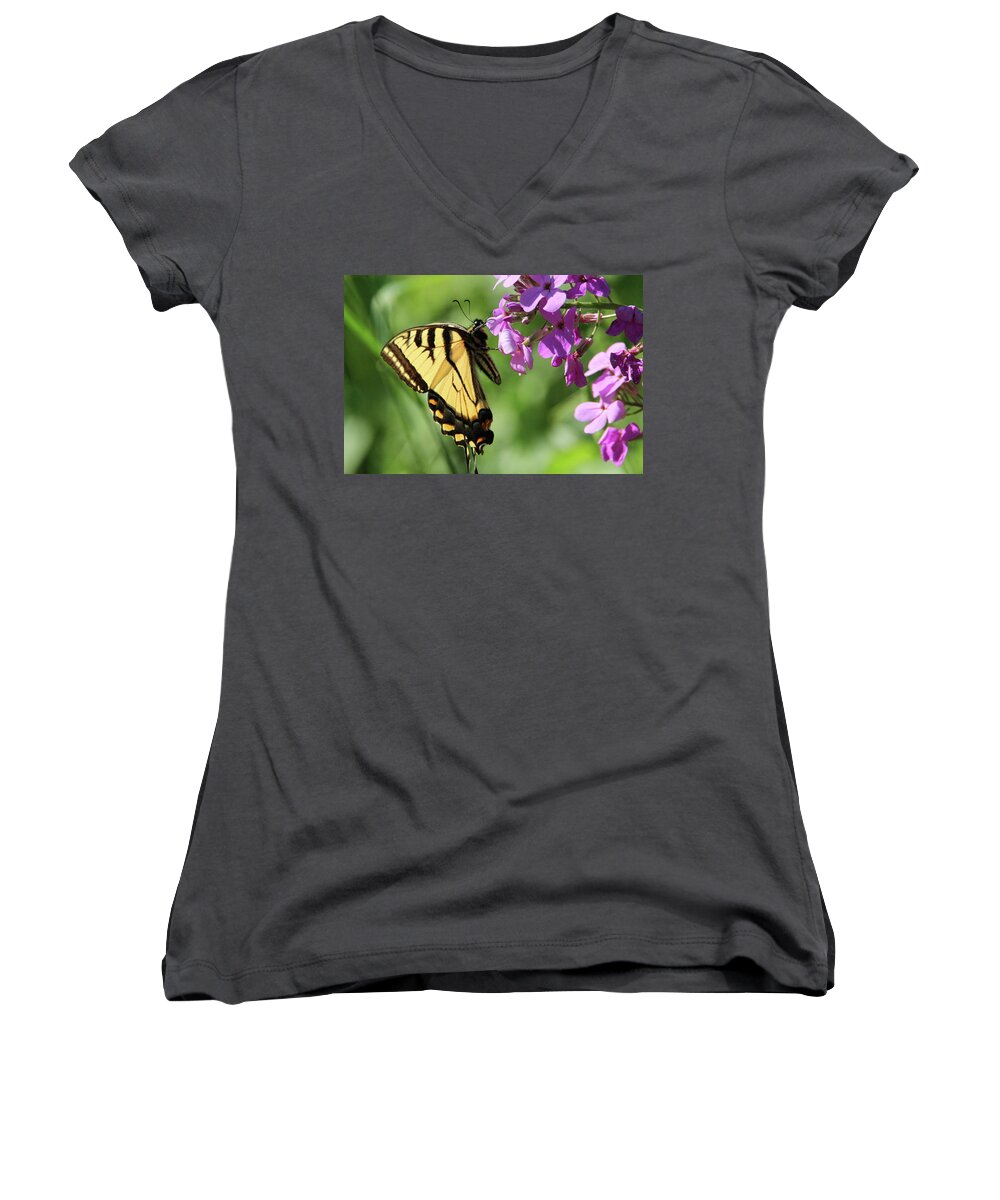 Nature Women's V-Neck featuring the photograph Butterfly #1 by David Stasiak