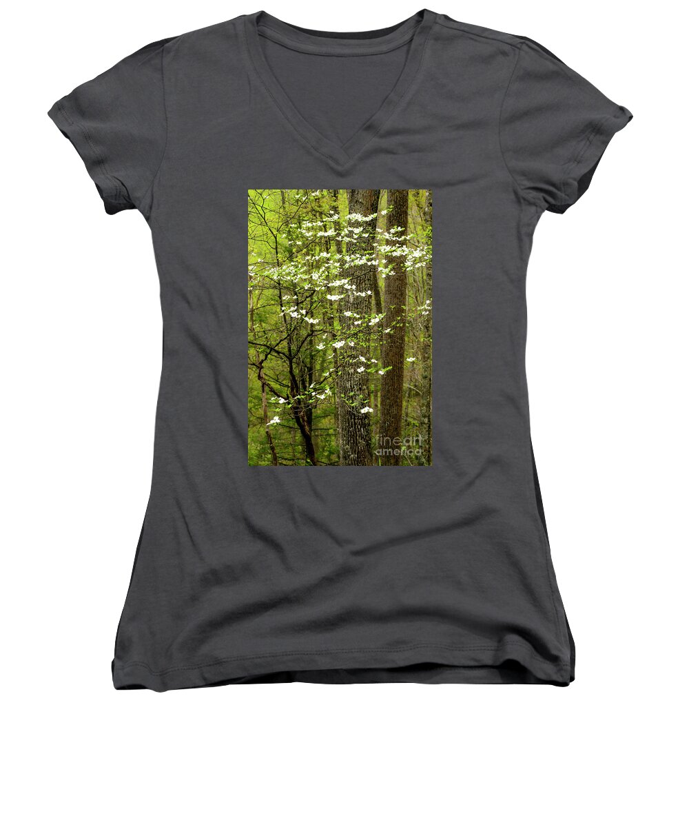 Spring Women's V-Neck featuring the photograph Dogwood Blooming in Forest #1 by Thomas R Fletcher