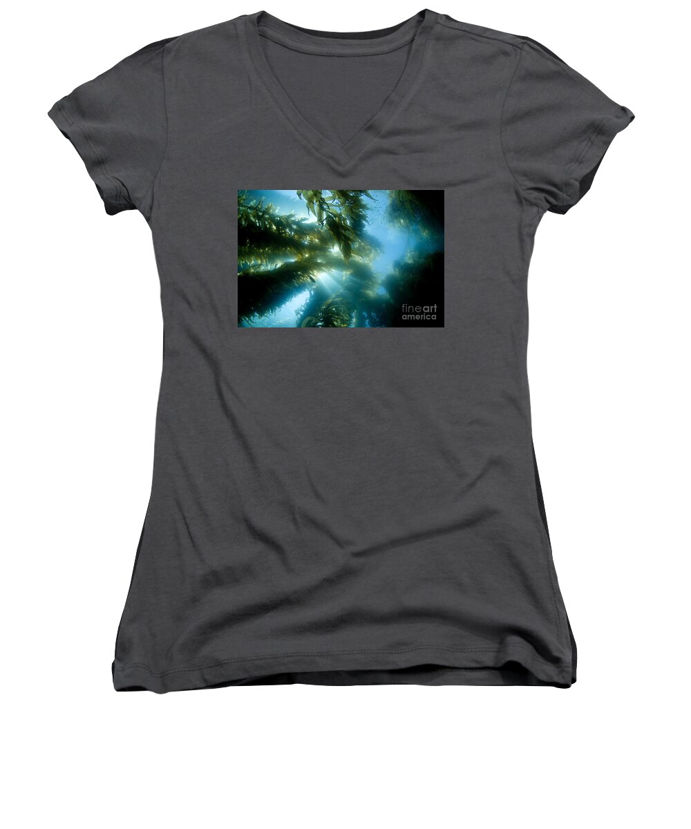Algae Women's V-Neck featuring the photograph Giant Kelp Forest #1 by Dave Fleetham - Printscapes