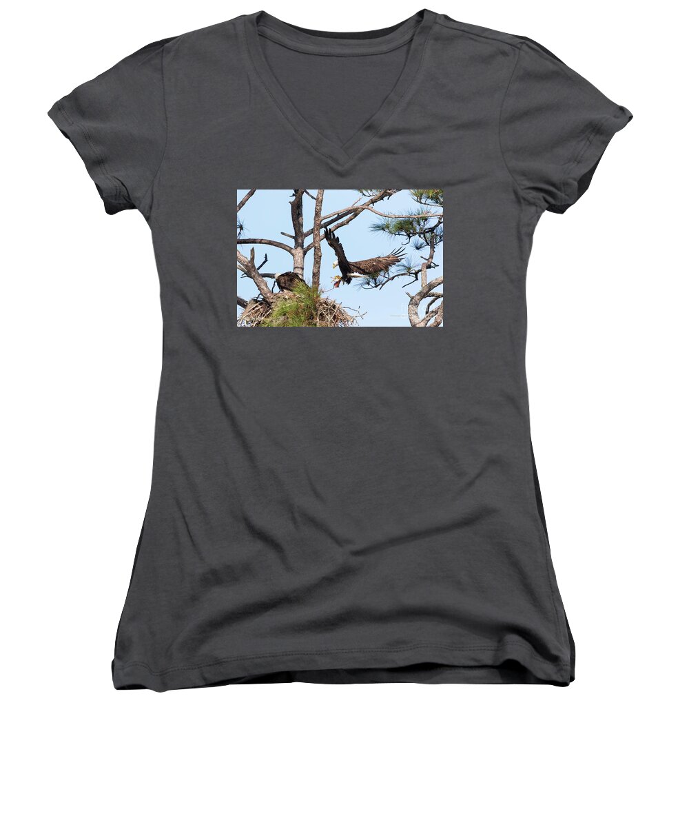 Eagles Women's V-Neck featuring the photograph Incoming Food #2 by Deborah Benoit