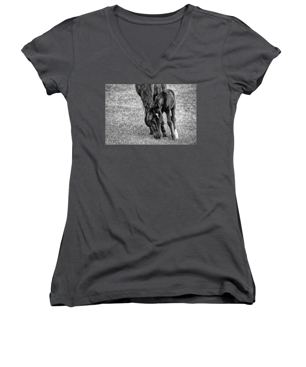 Horse Women's V-Neck featuring the photograph Lean on Me #1 by Joseph Caban