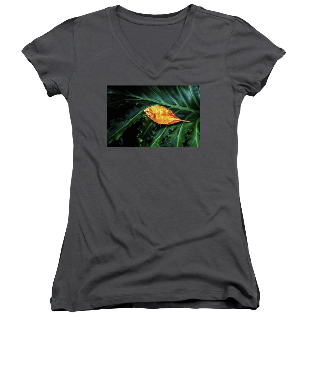 Art Women's V-Neck featuring the photograph Life Cycle Still Life #1 by Tom Mc Nemar