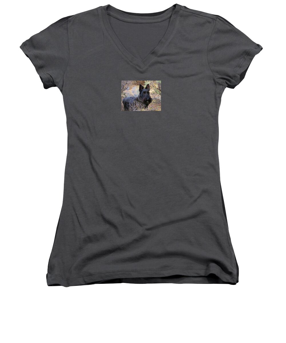 Scottie Women's V-Neck featuring the photograph Always Alert #1 by Michele Penner