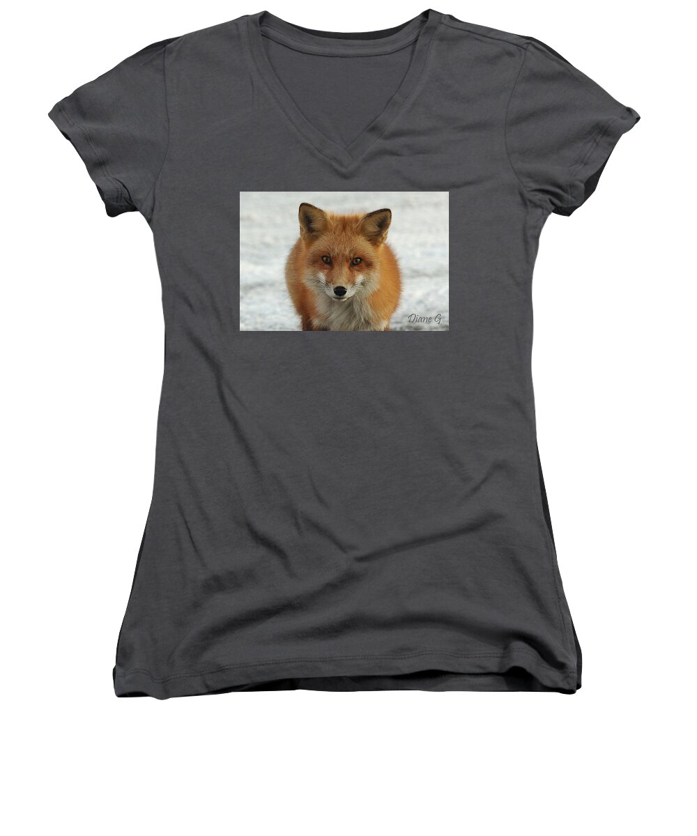 Red Fox Women's V-Neck featuring the photograph Red Fox #1 by Diane Giurco