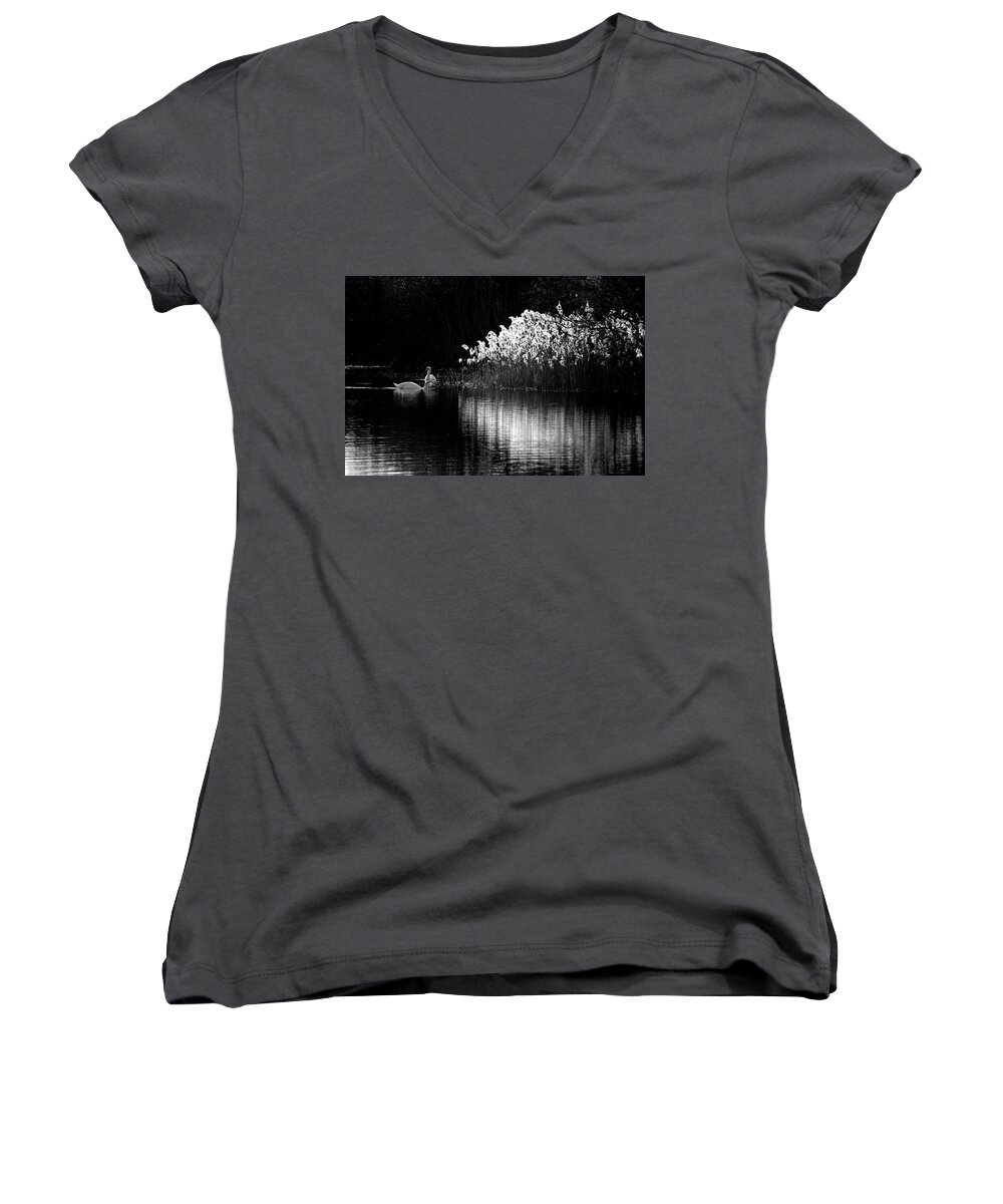 Swans Reeds Monochrome Women's V-Neck featuring the photograph Swans and reeds #1 by Ian Sanders