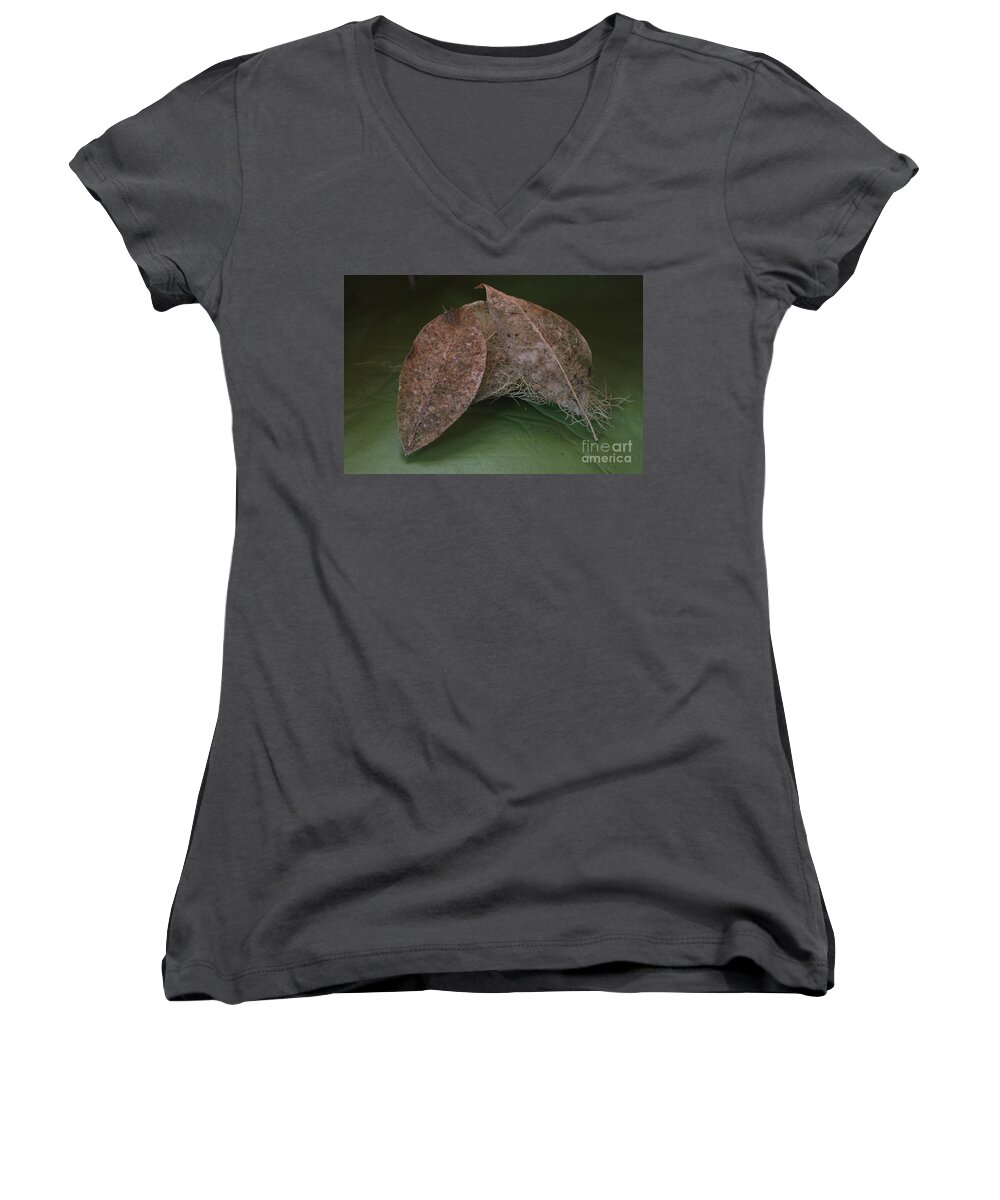 Leaves Women's V-Neck featuring the photograph Tangled #1 by Marie Neder