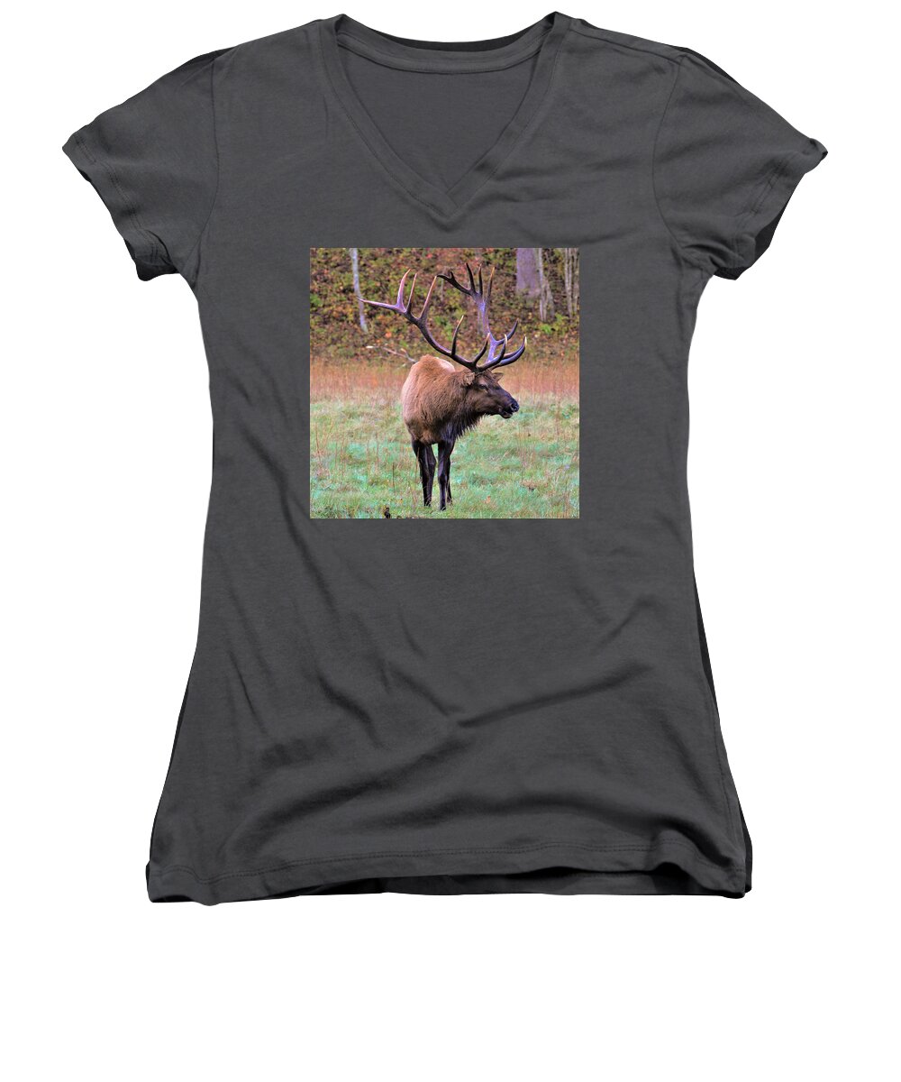 Cataloochee Elk Women's V-Neck featuring the photograph The Boss #1 by Chuck Brown