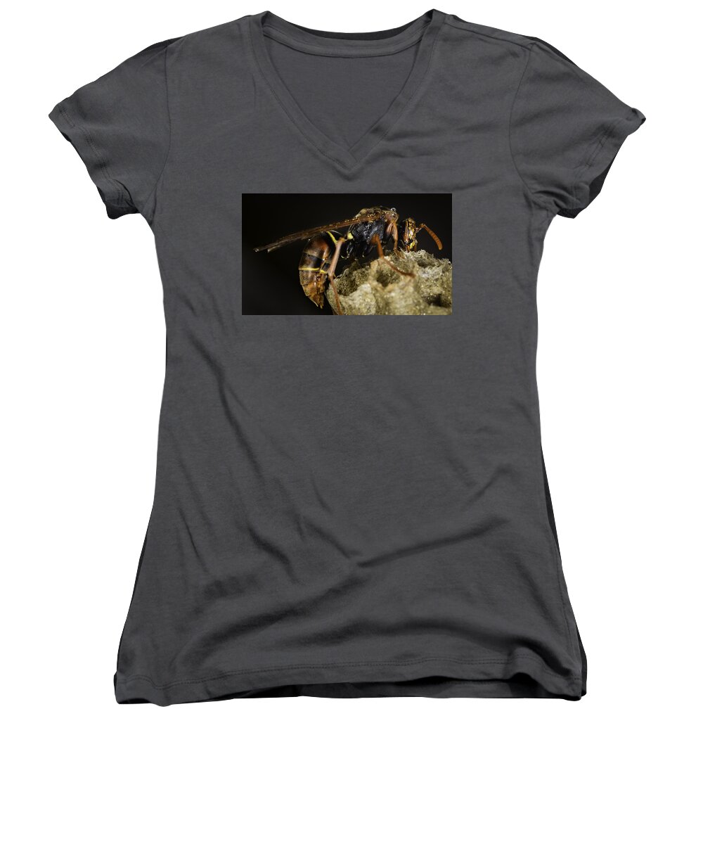 Macro Women's V-Neck featuring the photograph The Wasp #1 by Chris Cousins
