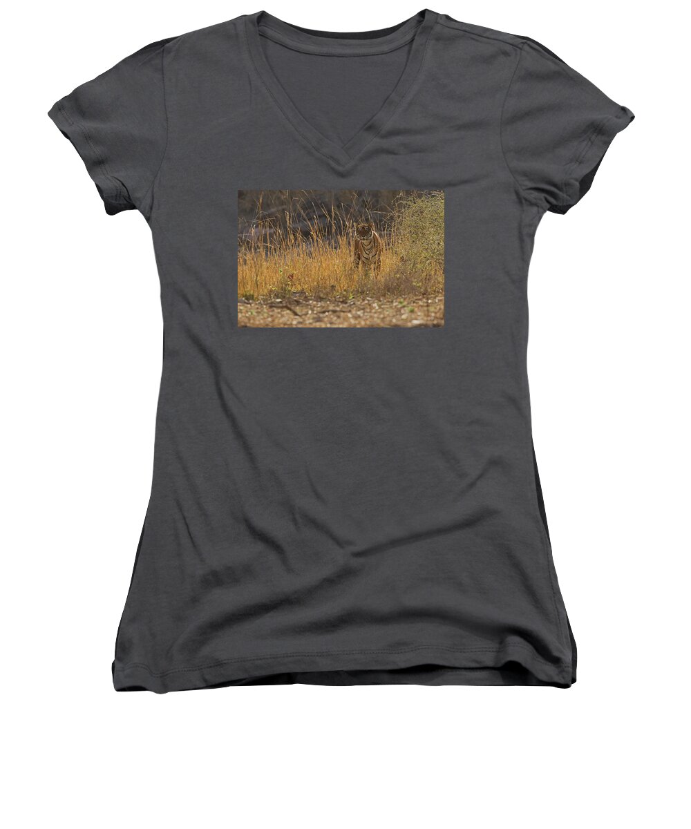 2017 Women's V-Neck featuring the photograph Tigress #1 by Jean-Luc Baron