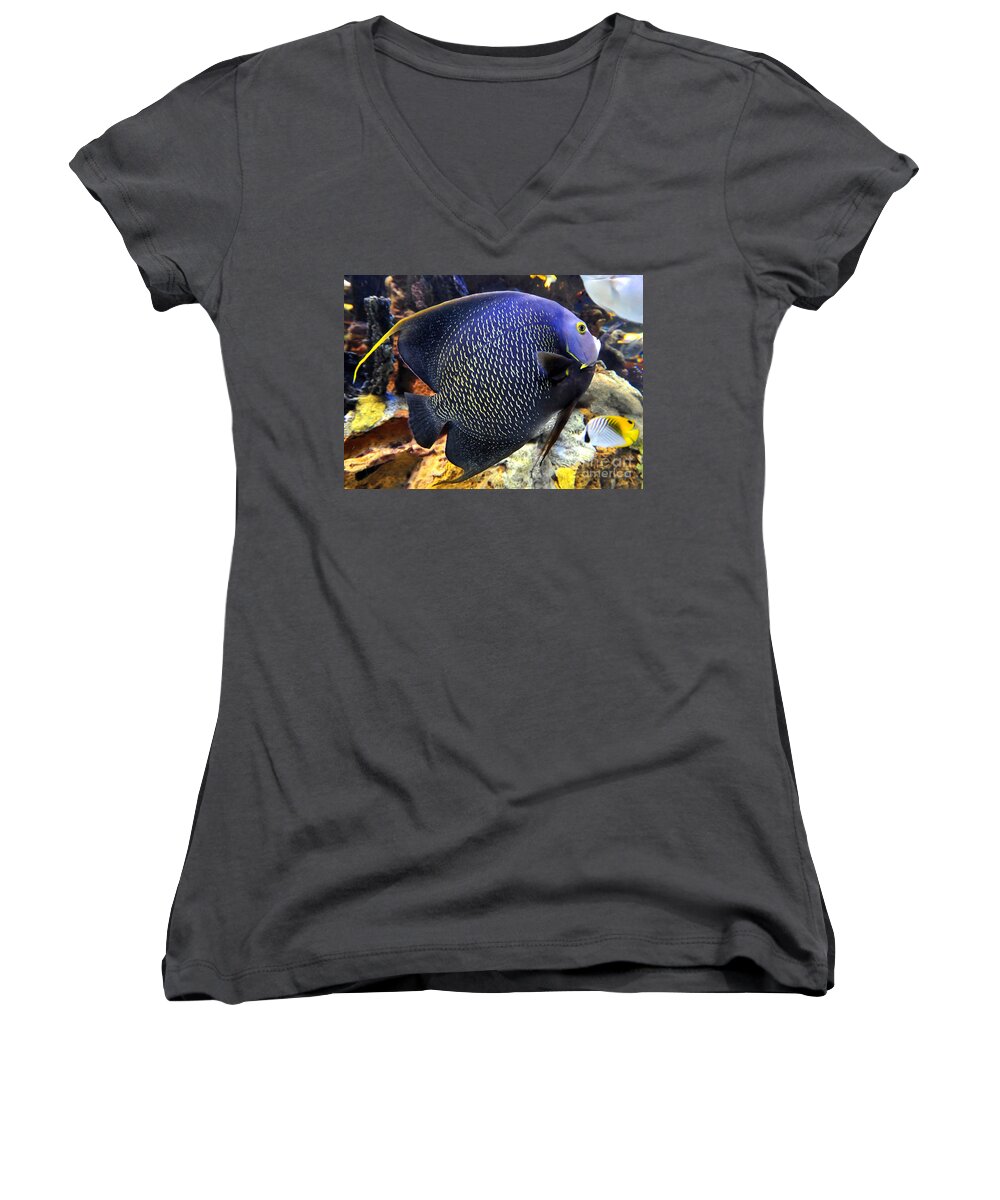 Tropical Fish Women's V-Neck featuring the photograph Tropical wonder #1 by David Lee Thompson