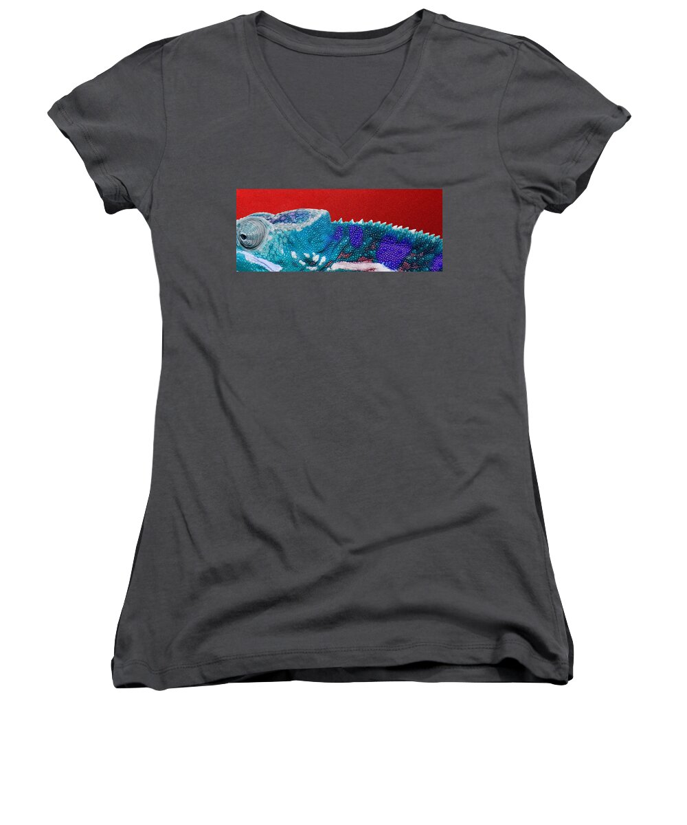 beasts Women's V-Neck featuring the photograph Turquoise Chameleon on Red #1 by Serge Averbukh