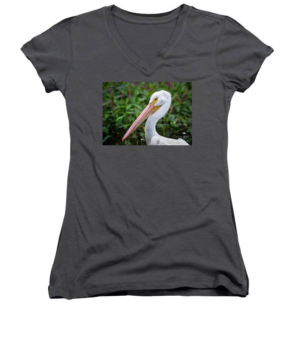 Animal Women's V-Neck featuring the photograph White Pelican #1 by Robert Frederick