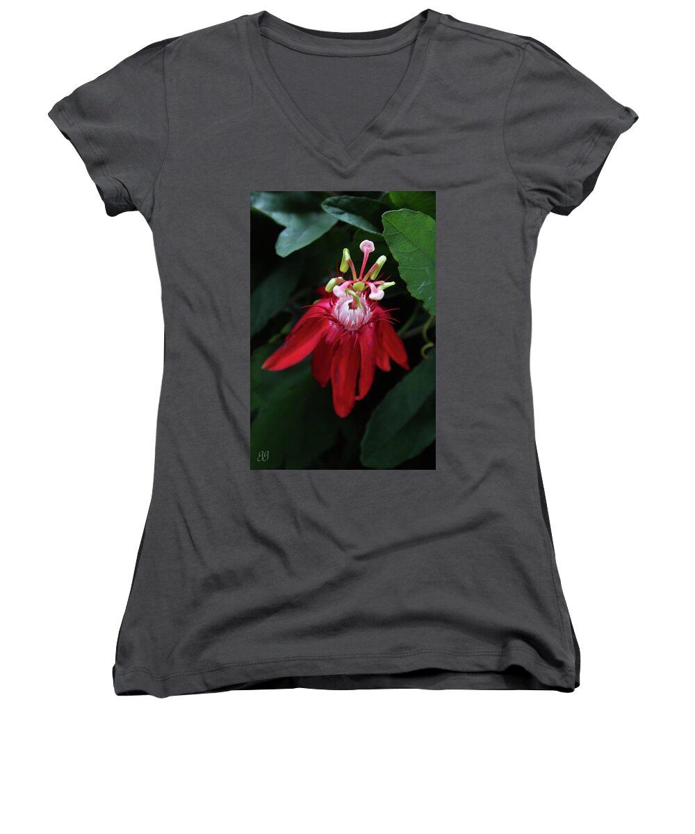 Passion Flower Women's V-Neck featuring the photograph With Passion #1 by Geri Glavis