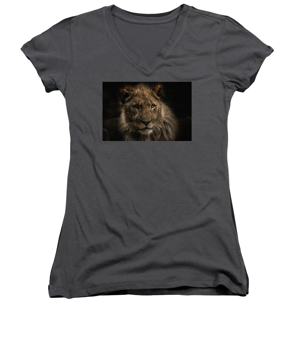 Lion Women's V-Neck featuring the photograph Young Lion #1 by Christine Sponchia