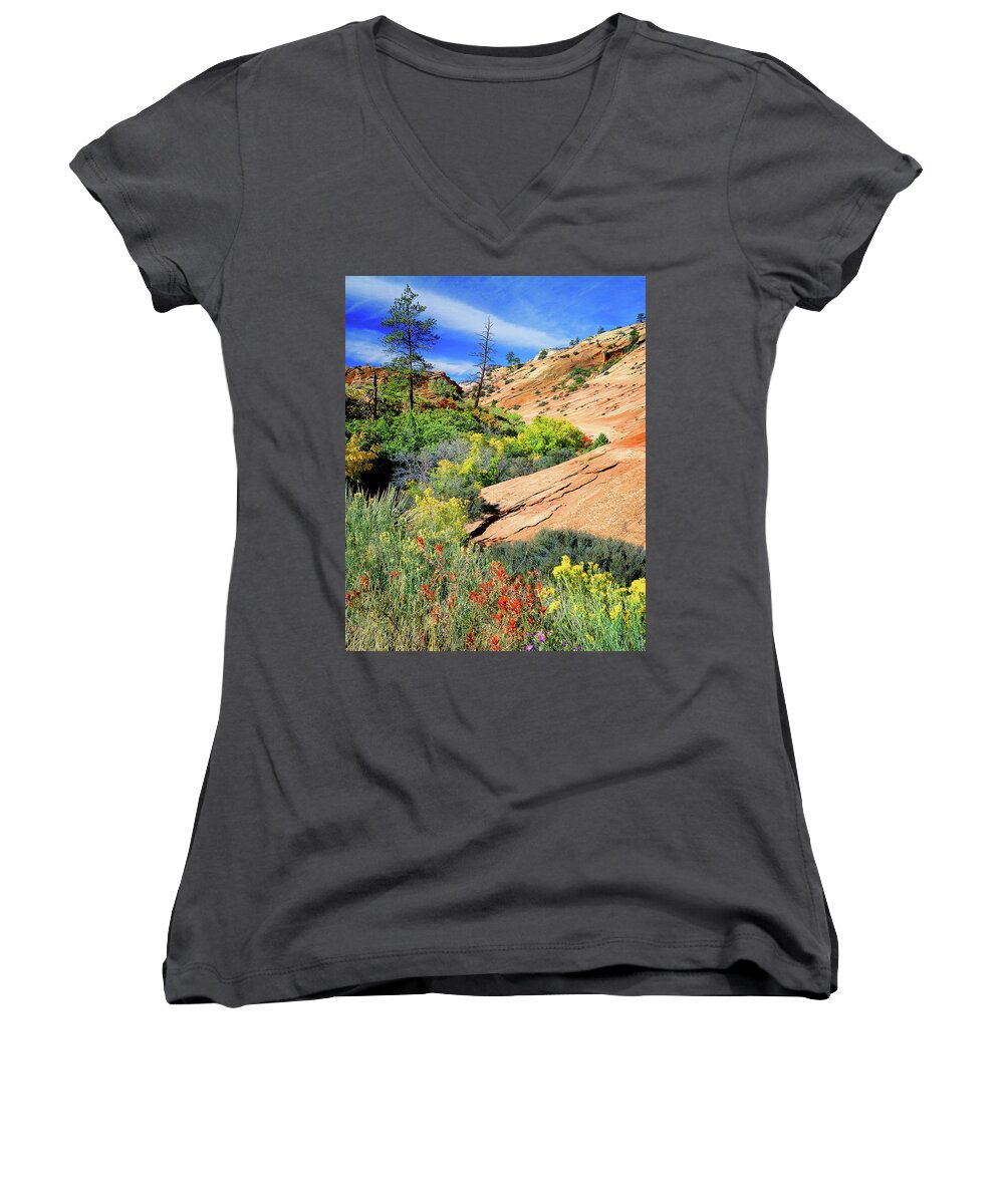 Zion National Park Women's V-Neck featuring the photograph Zion Slickrock #1 by Frank Houck