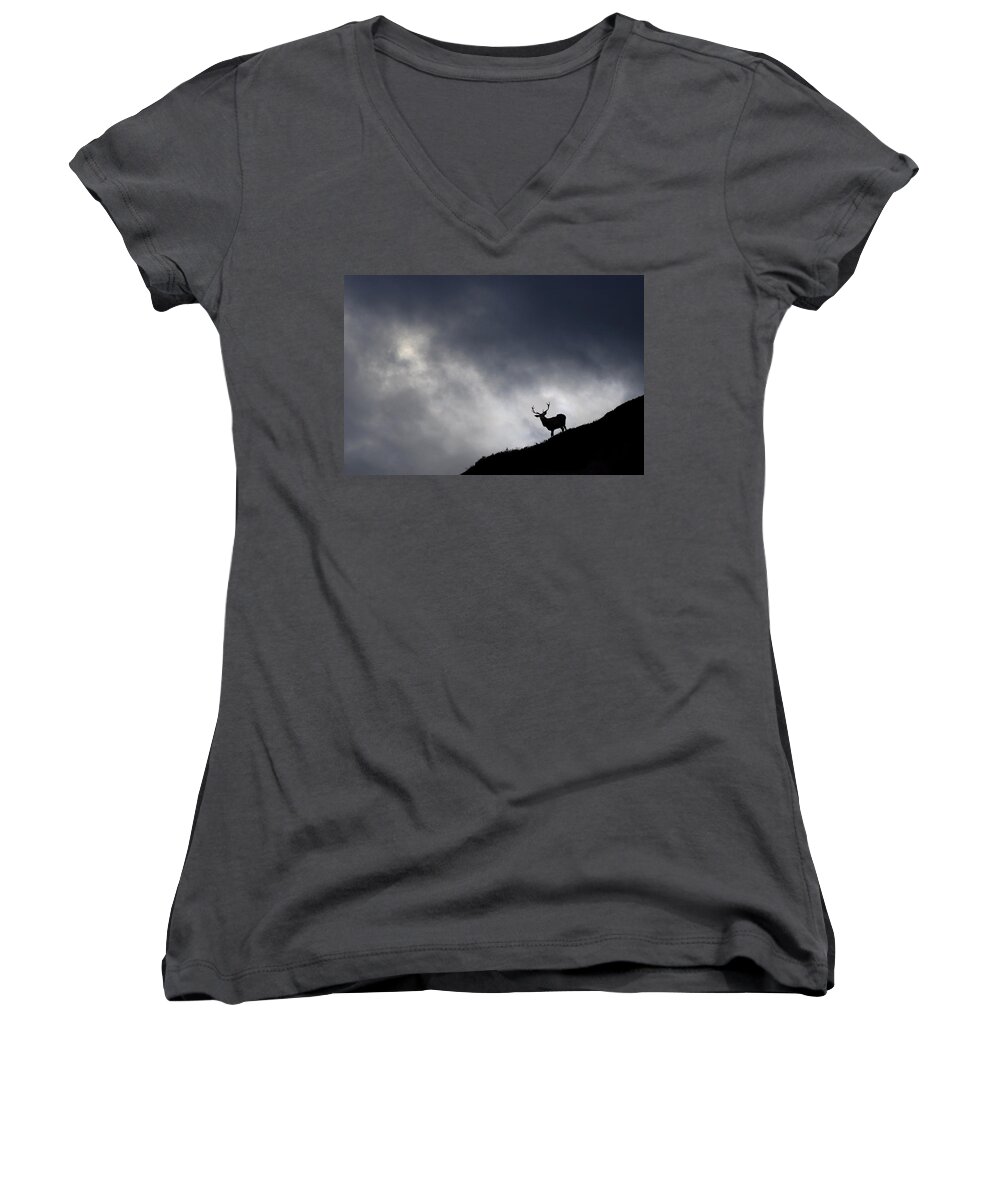 Stag Women's V-Neck featuring the photograph Stag Silhouette #2 by Gavin Macrae