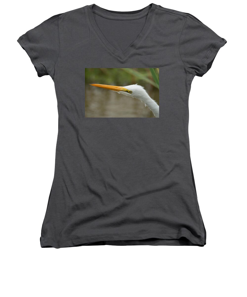 Great Egret Women's V-Neck featuring the photograph Great Egret #2 by Frank Madia