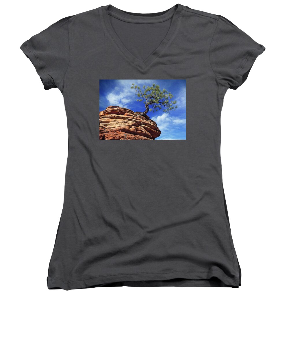 Pine Tree Women's V-Neck featuring the photograph Pine Tree in Sandstone #2 by Douglas Pulsipher