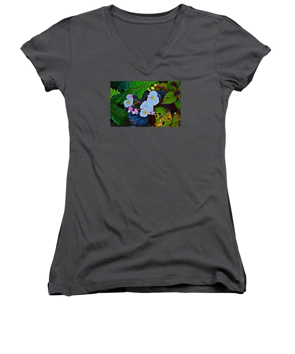 Begonias Women's V-Neck featuring the photograph 2015 Early September at the Garden Begonias by Janis Senungetuk