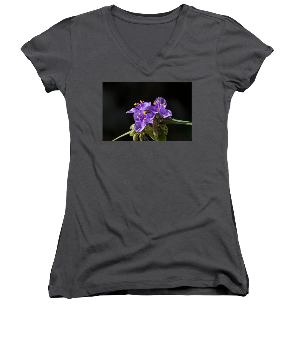 Texas; 2010s; 2017; Spring; Wild Flowers; Flowers; Blooms; Blossoms; Spiderworts; Hill Country; Color Images; Color Photo; Color Photograph; Color Pictures; Yellow; Purple Women's V-Neck featuring the photograph 201703290-010F spiderworts-2017 2x3 by Alan Tonnesen