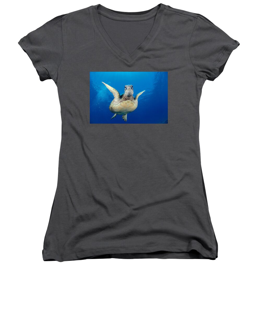 A77a Women's V-Neck featuring the photograph Green Sea Turtle #21 by Dave Fleetham - Printscapes