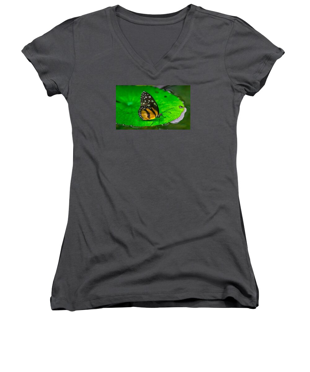 Butterfly Women's V-Neck featuring the photograph Butterfly #3 by Jerry Cahill