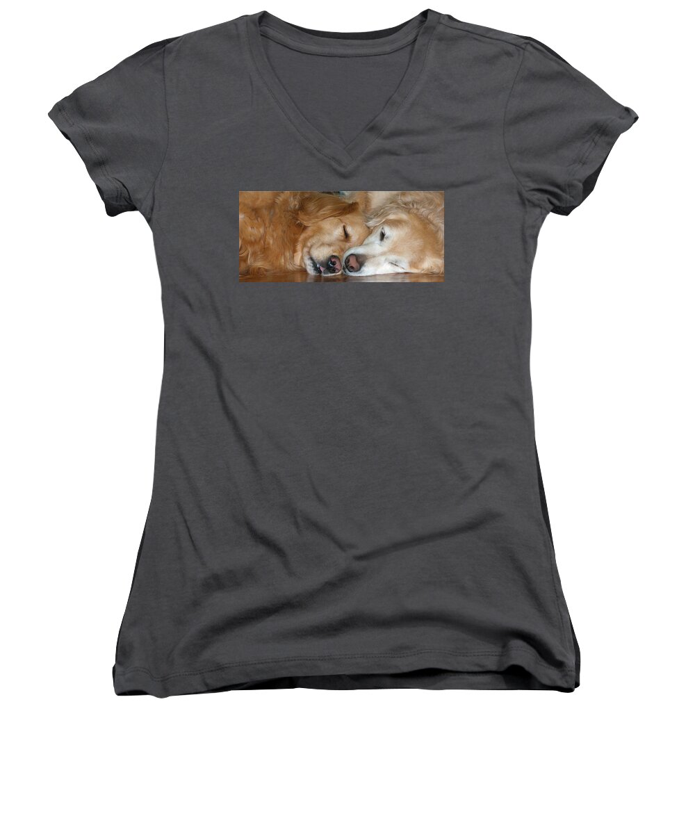 Animals Women's V-Neck featuring the photograph Love #3 by Rhonda McDougall