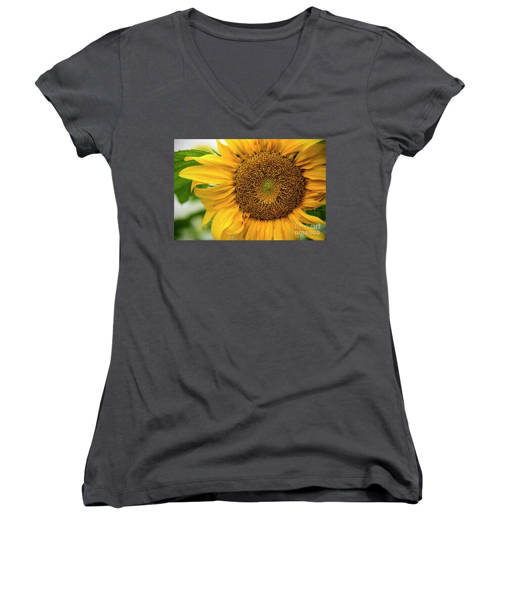 Sunflower Women's V-Neck featuring the photograph Sunflower #3 by Debra Fedchin