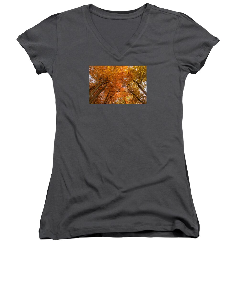 Park Women's V-Neck featuring the photograph Fall foliage #6 by SAURAVphoto Online Store