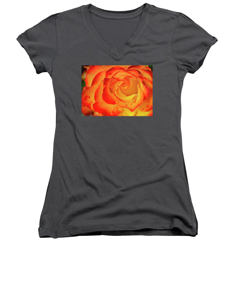 Nature Women's V-Neck featuring the photograph Rose Beauty #7 by Shirley Mitchell