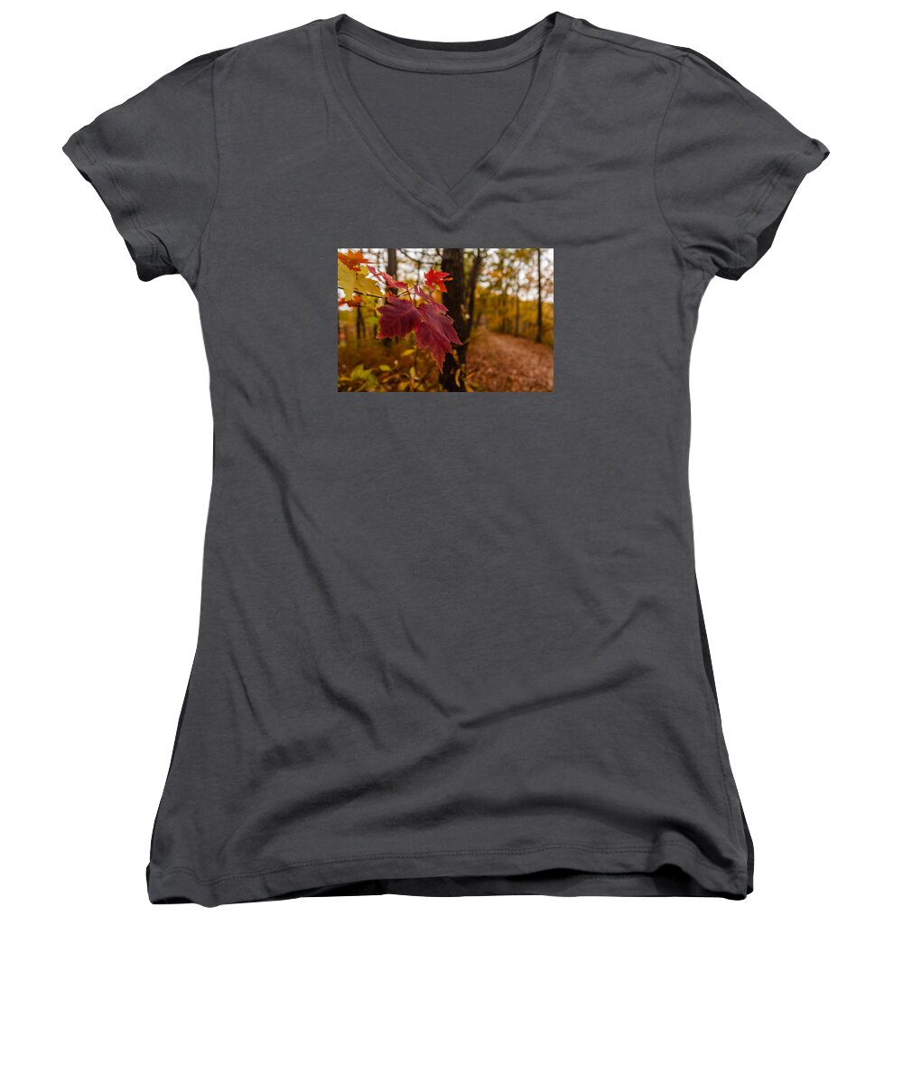 Park Women's V-Neck featuring the photograph Fall foliage #8 by SAURAVphoto Online Store