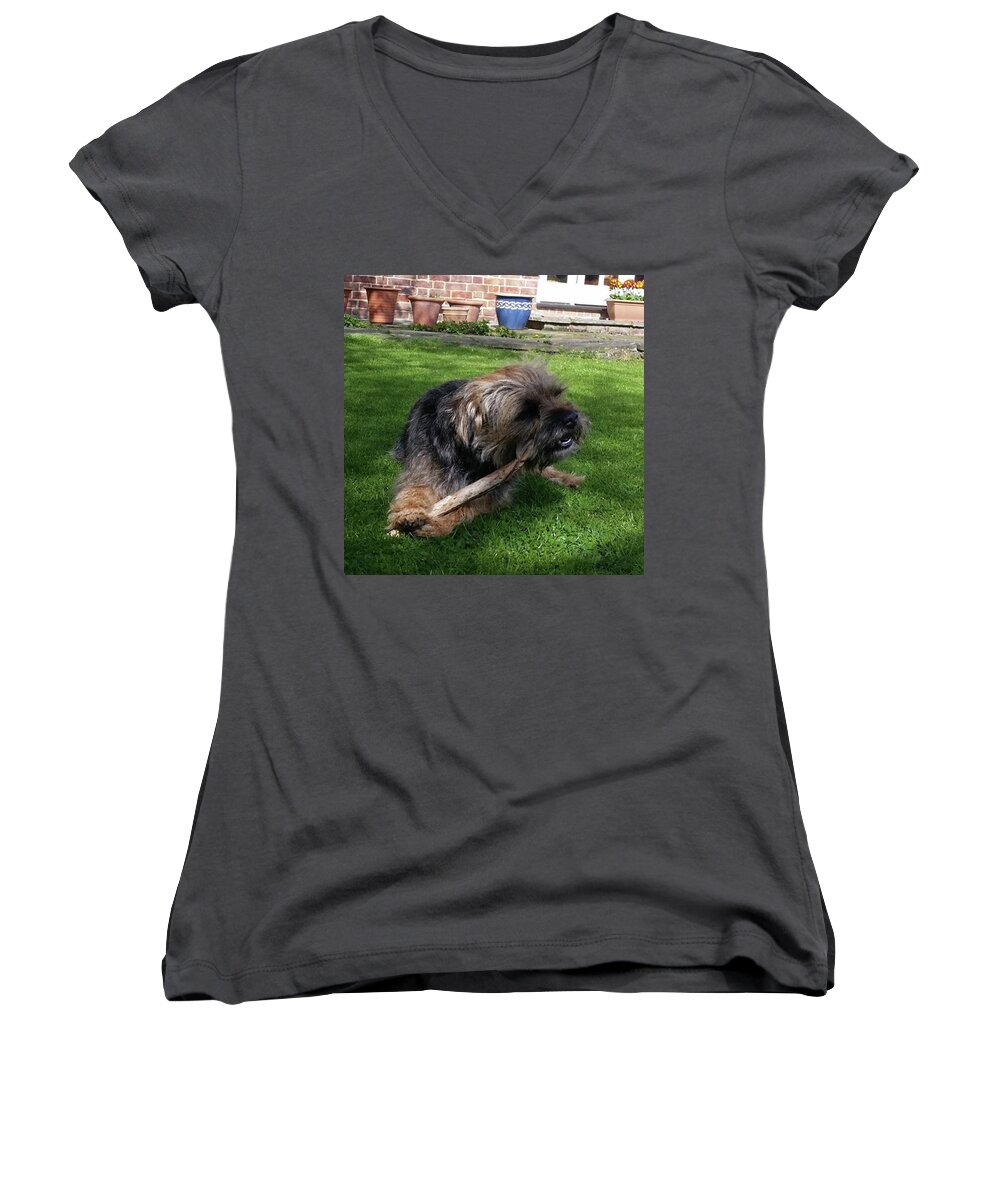 Dog Women's V-Neck featuring the photograph Contentment Is by Rowena Tutty