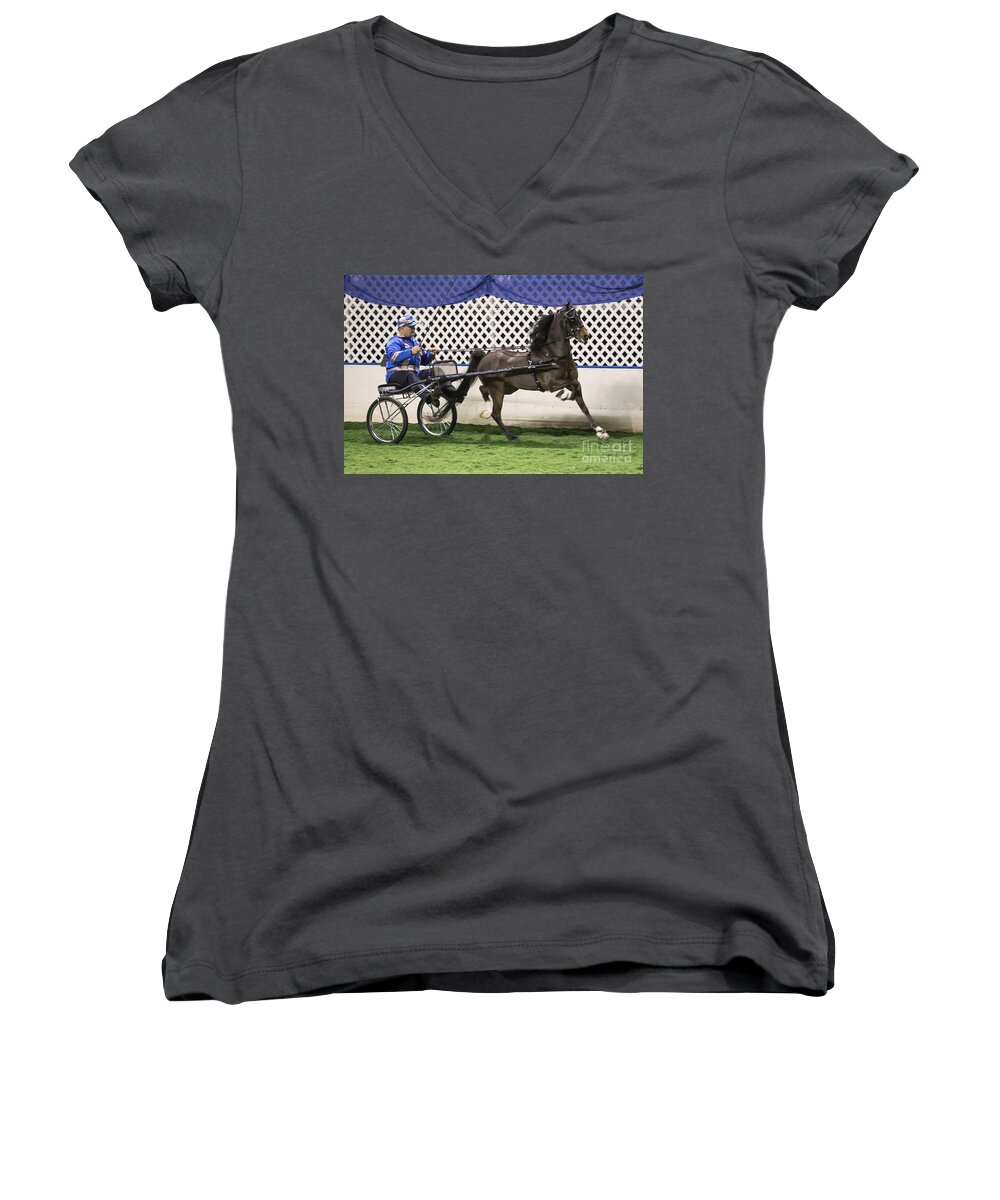 Flashy Women's V-Neck featuring the photograph A Flashy Pony by Lynn Sprowl