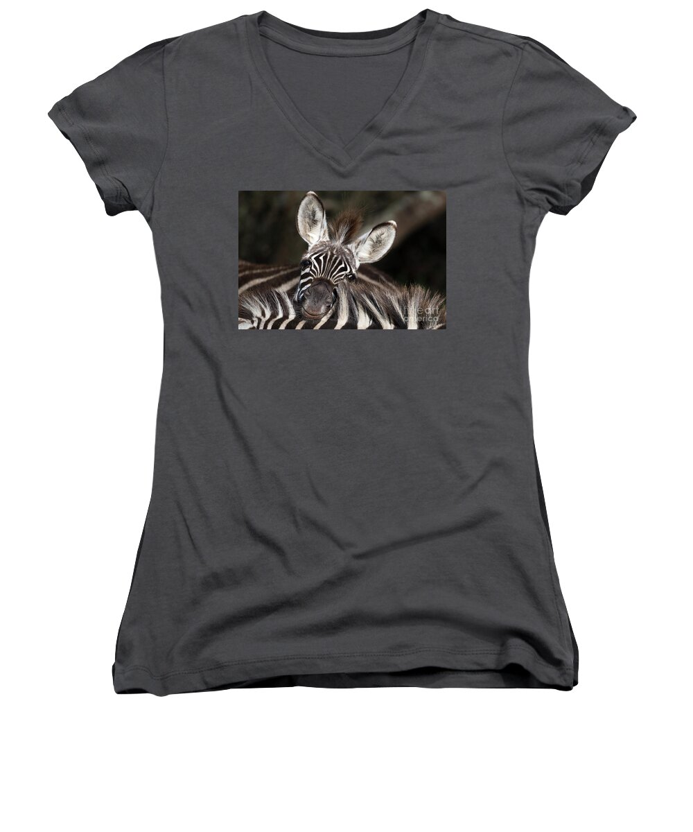 Zebras Women's V-Neck featuring the photograph A funny zebra in Ngorongoro Crater by RicardMN Photography
