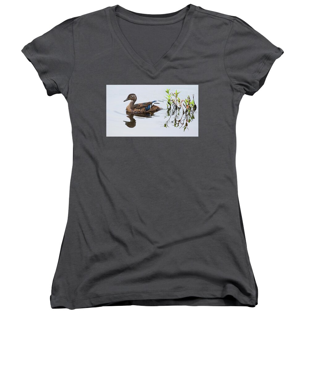 Wood Duck Women's V-Neck featuring the photograph A Graceful Swim by Art Cole