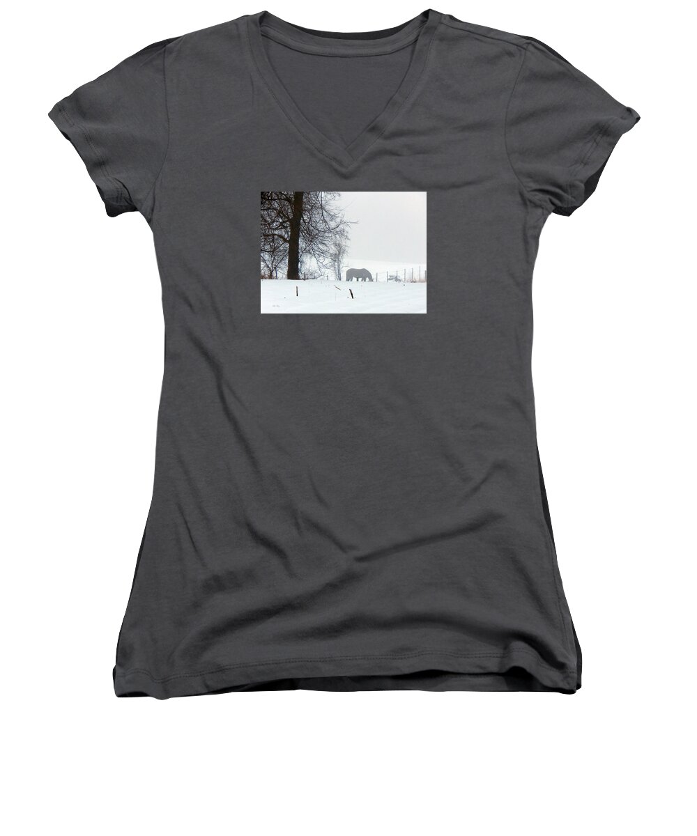 Winter Women's V-Neck featuring the photograph A Horse of a Different Color by Wild Thing