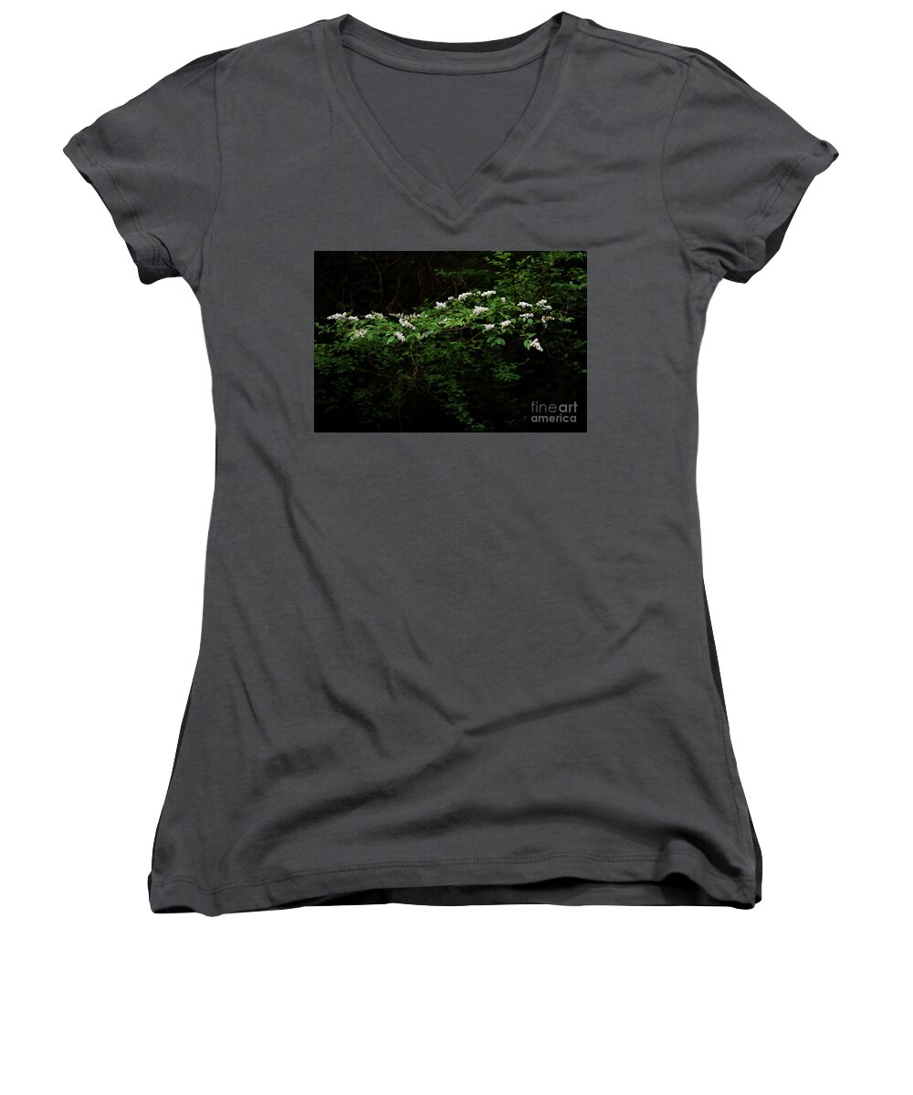Nature Women's V-Neck featuring the photograph A Light In The Darkness by Skip Willits